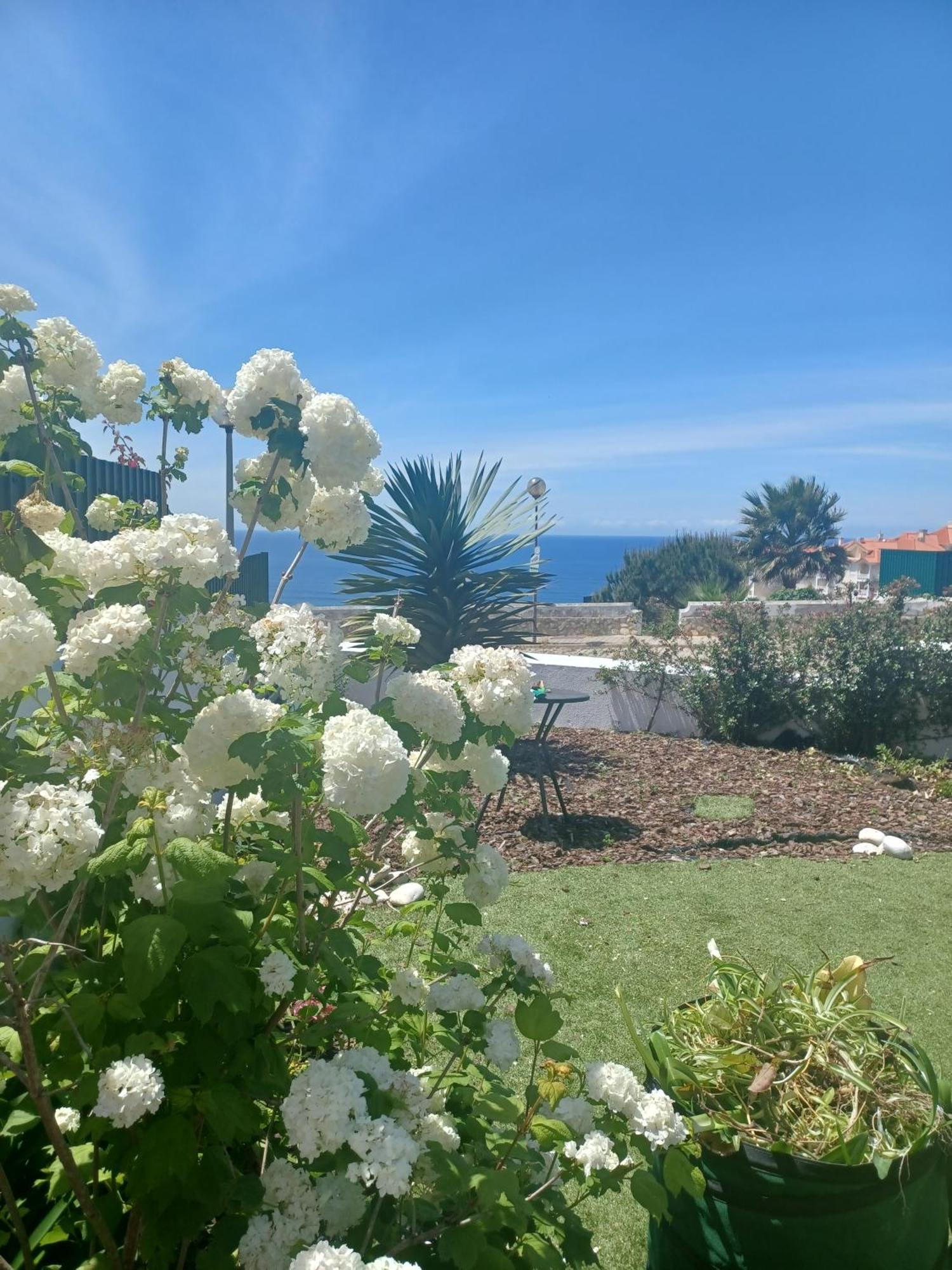 Ericeira Su Villa'S エクステリア 写真