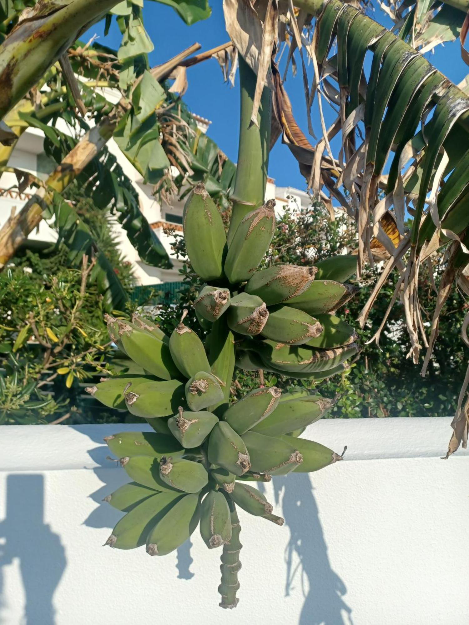 Ericeira Su Villa'S エクステリア 写真