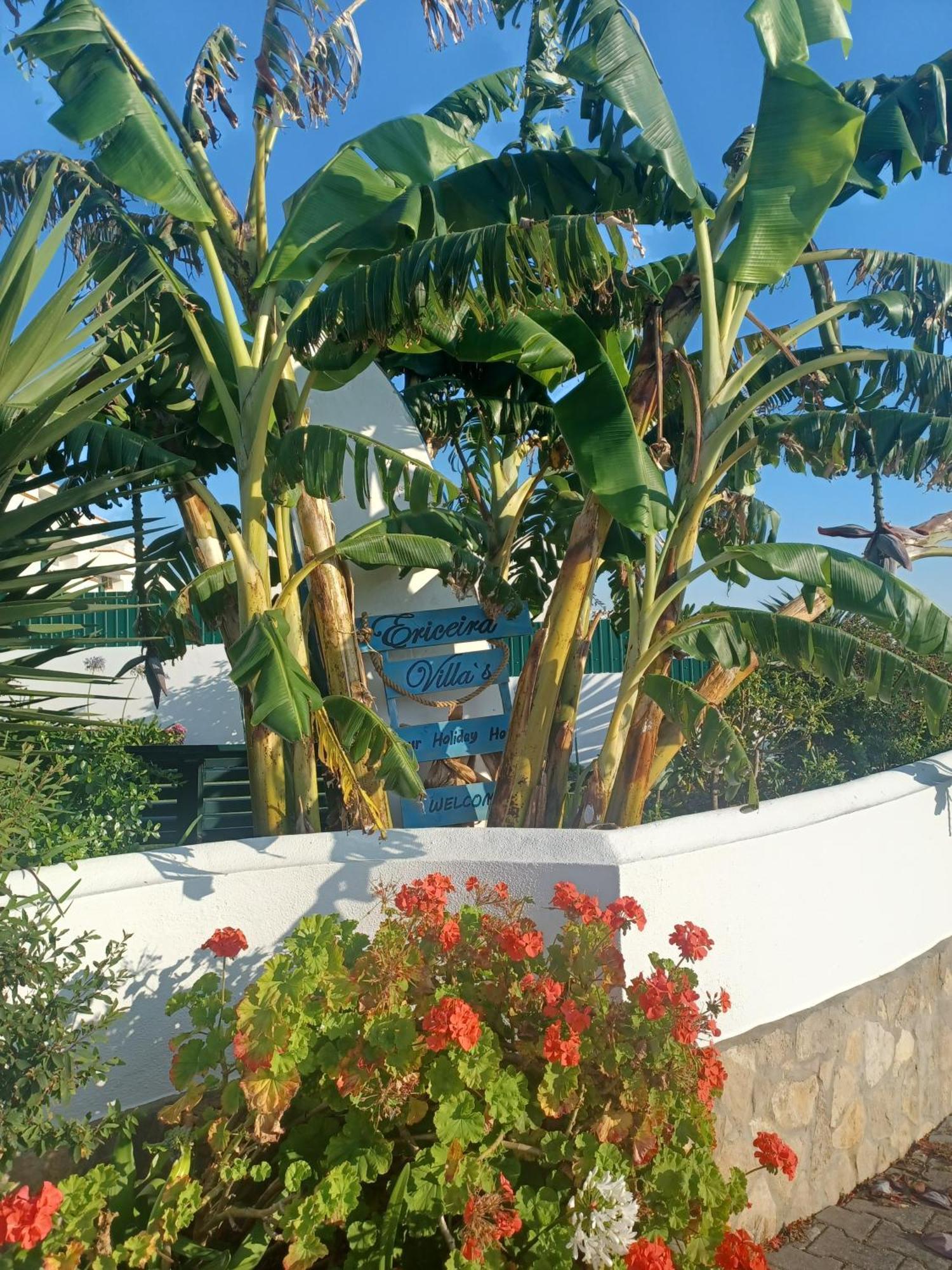 Ericeira Su Villa'S エクステリア 写真
