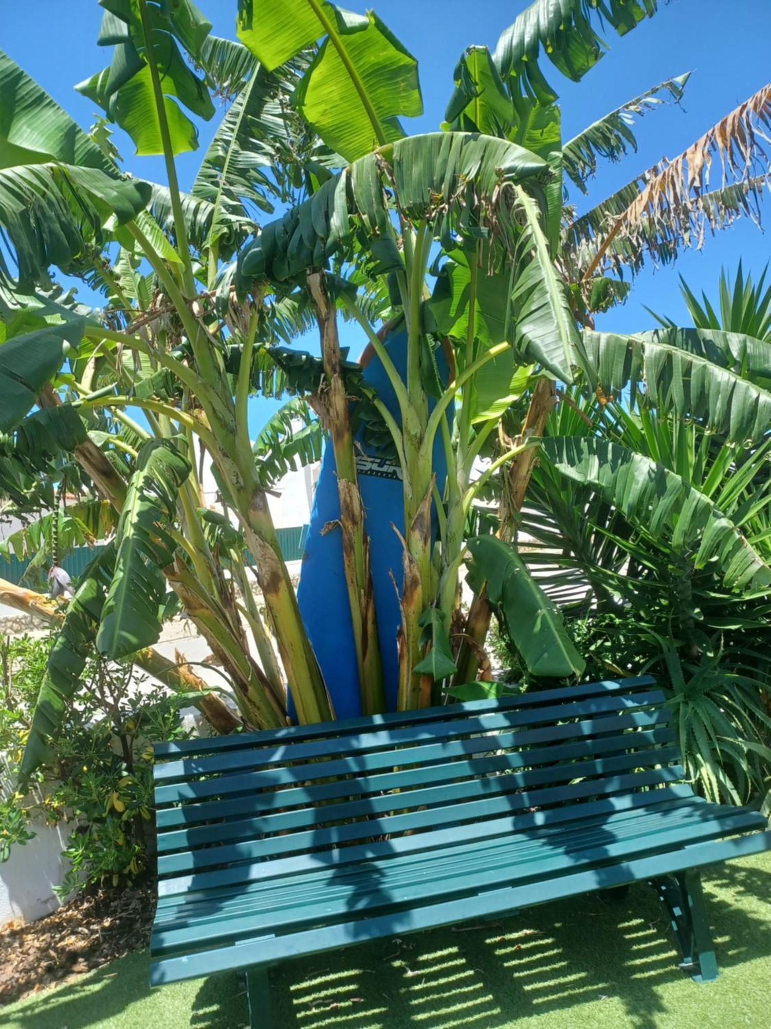 Ericeira Su Villa'S エクステリア 写真