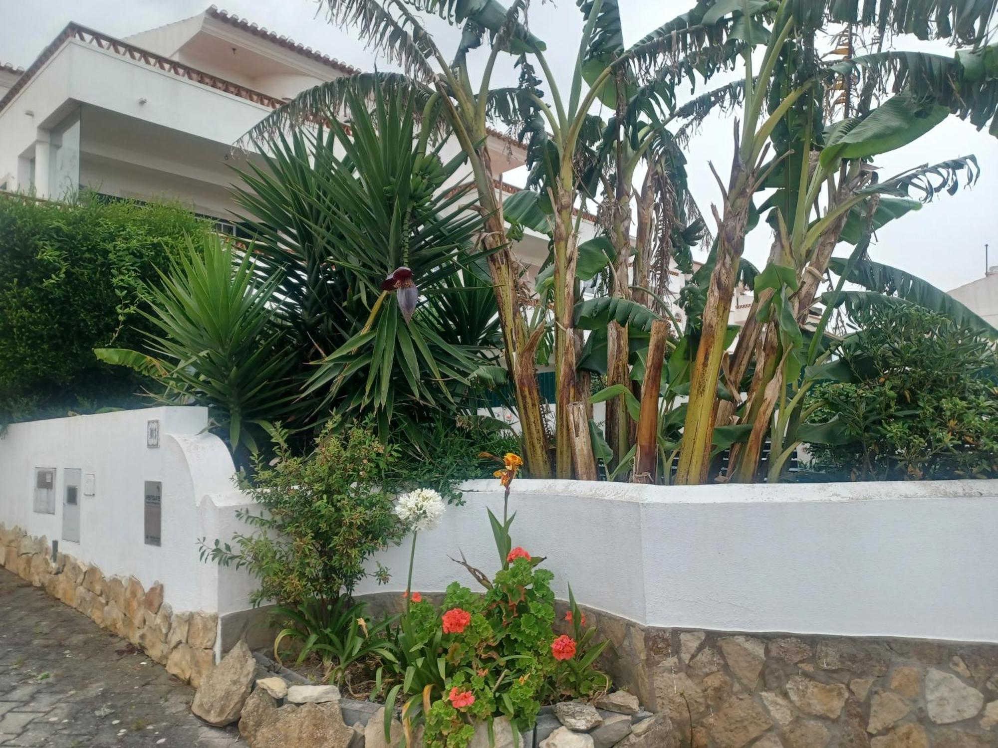 Ericeira Su Villa'S エクステリア 写真